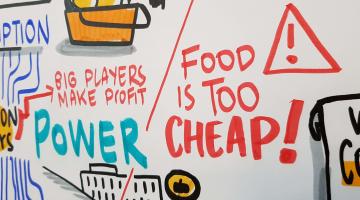 Summary of the ROBUST discussion of a better European food system published